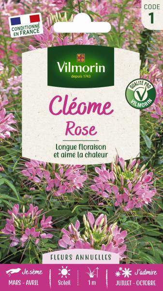 Fleurs - Cléome Rose - PACKAGING_RECTO